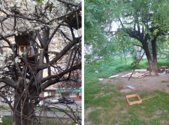 “Лучше бы вели подсчет асоциальных личностей” — в Новороссийске разрушили домик на дереве