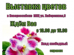 Выставка цветов открыла свои двери в Новороссийске