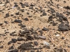 Ветер «оголил» куски мазута на пляжах Анапы: волонтеры устали очищать песок «ручным сито»