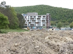 «Поляну завалили отходами строительства»: новороссийцы переживают за состояние соснового леса 