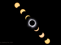 Гороскоп от “Блокнота” на 12 апреля: Тельцам поможет интуиция, а Козерогам — поддержка близких