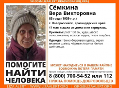 83-летнюю бабушку разыскивают в Новороссийске 