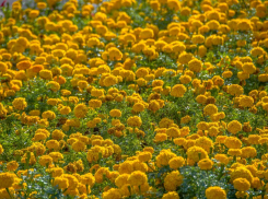 Погода в Новороссийске: жарко и очень сухо