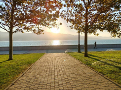 Погода в Новороссийске: тепло, хоть и ветрено