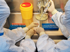 Помощь зараженным новороссийцам: найдено средство, уничтожающее коронавирус
