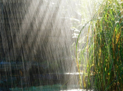 Феи в свой день наколдовали дождь в Новороссийске