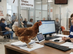 Россельхознадзор опроверг слухи о маркировке каждой птицы