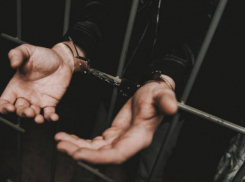 Поставщику грозит пожизненное: новороссийские полицейские задержали крупную партию наркотиков