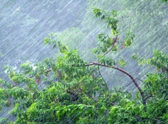 На выходных новороссийцев снова ждёт ливень и усиление ветра