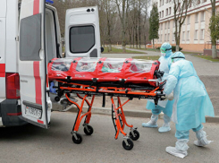 Сколько ждать новороссийцам: стало известно, когда коронавирус пойдет на спад 