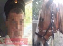 18+ Казак порезал лошадь и снял это на видео: жители Кубани в шоке