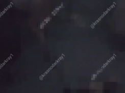 18+ Житель станицы жестоко убил пса и отправил видео жене
