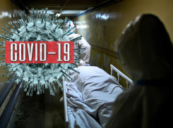 COVID-19 уничтожает здоровье новороссийцев: актуальная сводка 