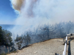 Горят дома и машины: в Новороссийске продолжается борьба с мощным лесным пожаром 