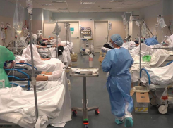 За сутки коронавирус подтвердился у пяти жителей Новороссийска