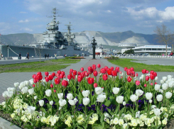 Понедельник - день чудесный в Новороссийске