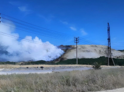 Мусорный полигон на Щелбе в Новороссийске могут закрыть: вступился Росприроднадзор 