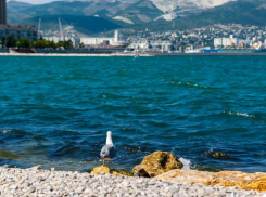 В пятницу погода порадует новороссийцев небольшим потеплением