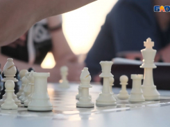 Шах и мат на «Кутузове»: юные шахматисты края совместили приятное с полезным 