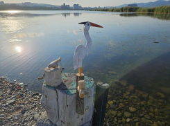 На территории Суджукской лагуны снесут вышки