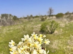 Львицы будут блистать, а Козерогам важно обратить внимание на здоровье