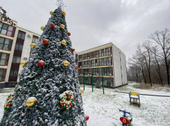 Новый год встречает нас морозом: погода в Новороссийске
