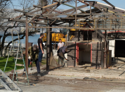 Прямо сейчас в Новороссийске сносят живой уголок