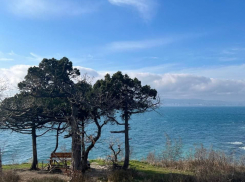 Погода в Новороссийске: на целый день в город вернётся лето