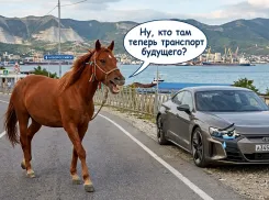 Топ-10 способов выжить в Новороссийске без бензина 