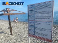 «Не нужны нам такие арендаторы»: какие недостатки на пляжах Новороссийска обнаружила полиция