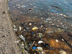 Горы мусора в желтой жиже: пляжи Новороссийска теряют привлекательность