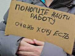 На одну вакансию шесть желающих: что не так с безработицей в Новороссийске 