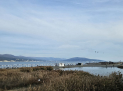 Гороскоп от «Блокнота»: Тельцы и Стрельцы добьются желаемого, а у Рыб романтика 