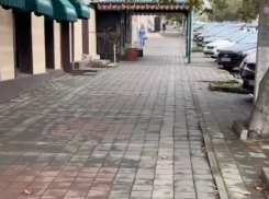 “Свиньи кидают все на пол” — жительница Новороссийска пожаловалась на отсутствие мусорок