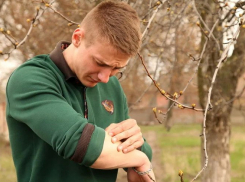 Нападает незаметно: какая серьезная опасность поджидает новороссийцев 
