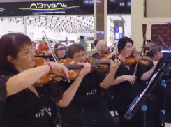 Новороссийский симфонический оркестр провел открытую репетицию прямо посреди торгового центра 