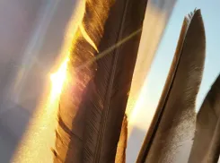 Рыбам не стоит брать в долг, а Раков ждет новая любовь: как сложится этот день у знаков зодиака