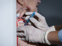 Новороссийск покинул ТОП лидеров по заражениям COVID-19