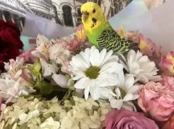 Близнецам звезды советуют заняться творчеством, а Тельцам пора позаботиться о себе