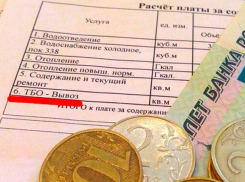 Стал известен тариф на вывоз мусора в Новороссийске