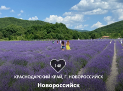 «Маршрут построен»: Новороссийск сражается за звание лучшего «Туристического города»