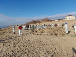  Отельеры и местные в недоумении: Анапу хотят превратить в фестивальную столицу 