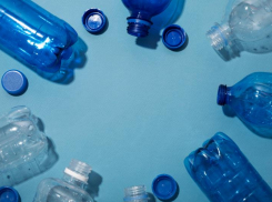 Менеджера одного из предприятий Новороссийска обвинили в крупном мошенничестве