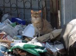 Корреспондент «Блокнота» Юла Антонова приняла участие в «помоечном» флешмобе Новороссийска
