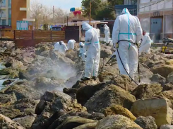 1400 мешков с мазутом: Анапа ждет курортный сезон, на пляжах продолжается уборка 