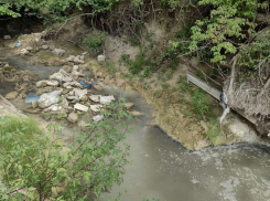 Стало известно, кто причастен к загрязнению реки Озерейка