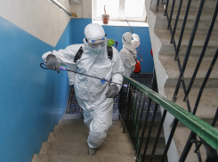 Тотальная дезинфекция: в Новороссийске усилили санобработку общественных мест и МКД 