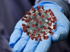 Тем, кто ещё помнит о ковиде, посвящается: о новых заражённых в Новороссийске 