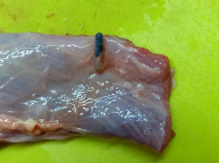 Жительница Новороссийска купила чипированную говядину 