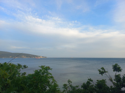 «Вонища!»: над Новороссийском повис запах химикатов 